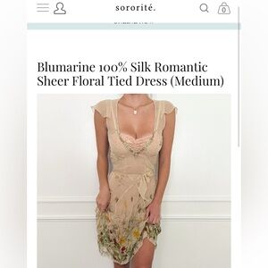 💗SOLD💗Beautiful Vintage 90s Blumarine &Strawberry Silk Mesh Dress 💐🍓✨100% silk